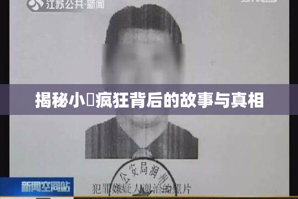 揭秘小泬疯狂背后的故事与真相
