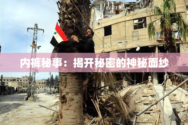 内裤秘事：揭开秘密的神秘面纱