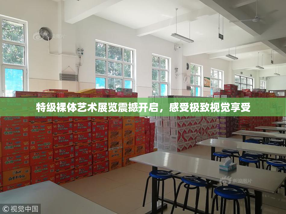 特级裸体艺术展览震撼开启，感受极致视觉享受