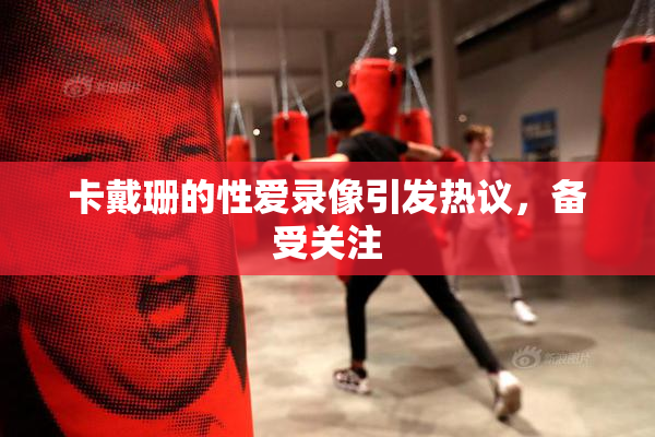 卡戴珊的性爱录像引发热议，备受关注