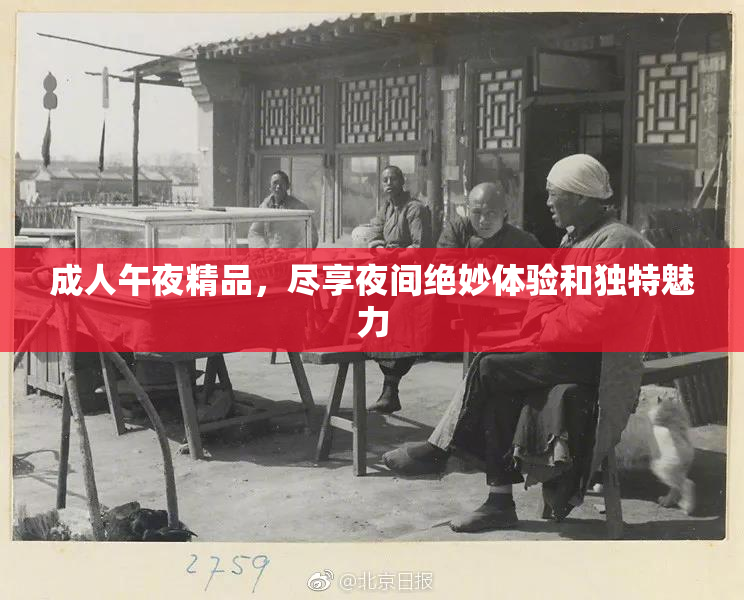 成人午夜精品，尽享夜间绝妙体验和独特魅力