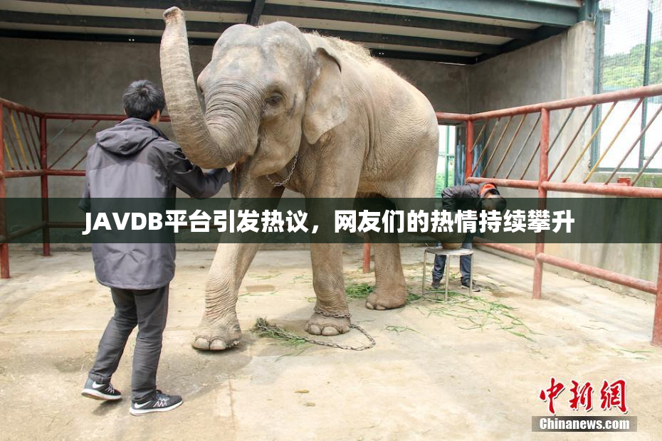 JAVDB平台引发热议，网友们的热情持续攀升