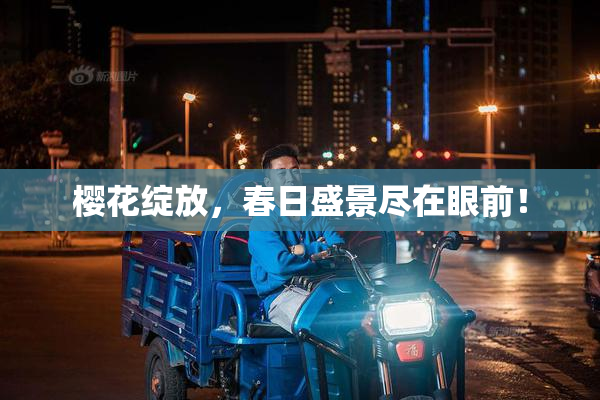樱花绽放，春日盛景尽在眼前！