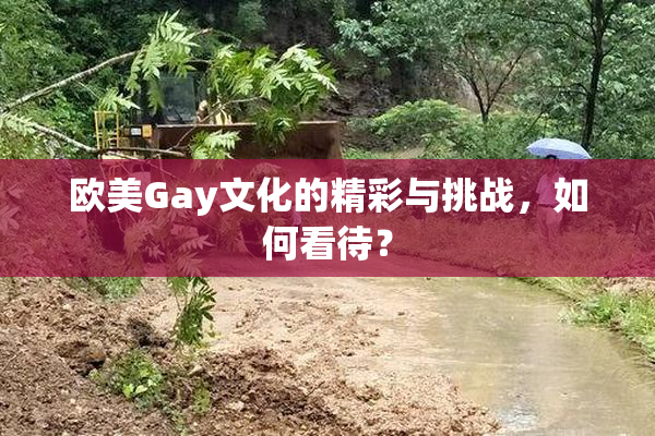 欧美Gay文化的精彩与挑战，如何看待？