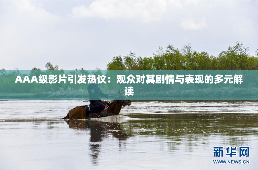 AAA级影片引发热议：观众对其剧情与表现的多元解读