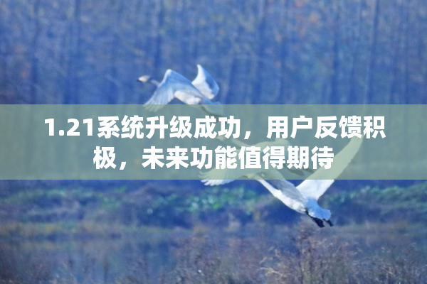 1.21系统升级成功，用户反馈积极，未来功能值得期待