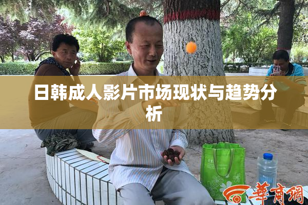 日韩成人影片市场现状与趋势分析