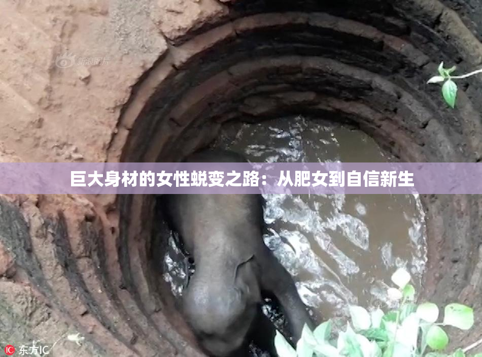 巨大身材的女性蜕变之路：从肥女到自信新生