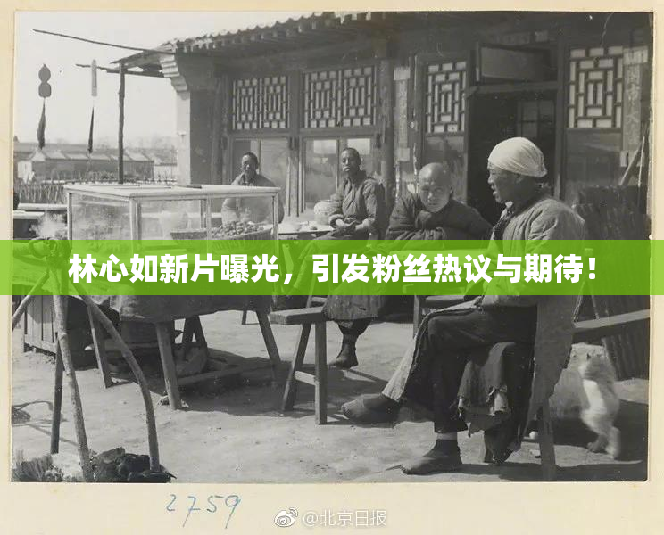 林心如新片曝光，引发粉丝热议与期待！