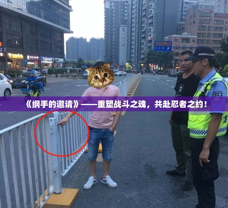 《纲手的邀请》——重塑战斗之魂，共赴忍者之约！