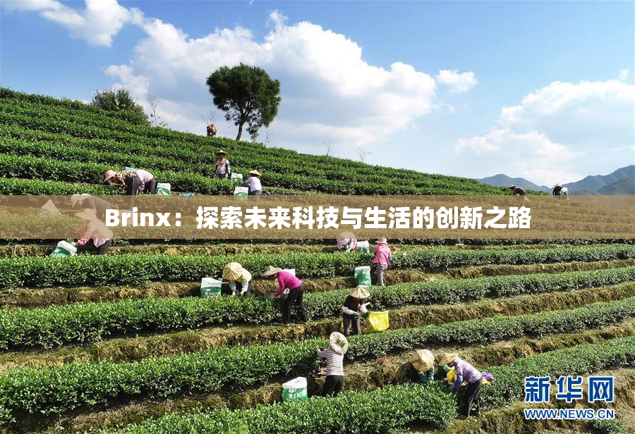Brinx：探索未来科技与生活的创新之路