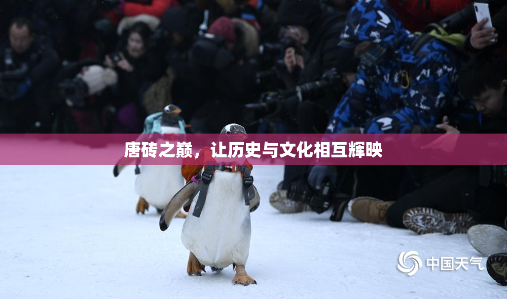唐砖之巅，让历史与文化相互辉映