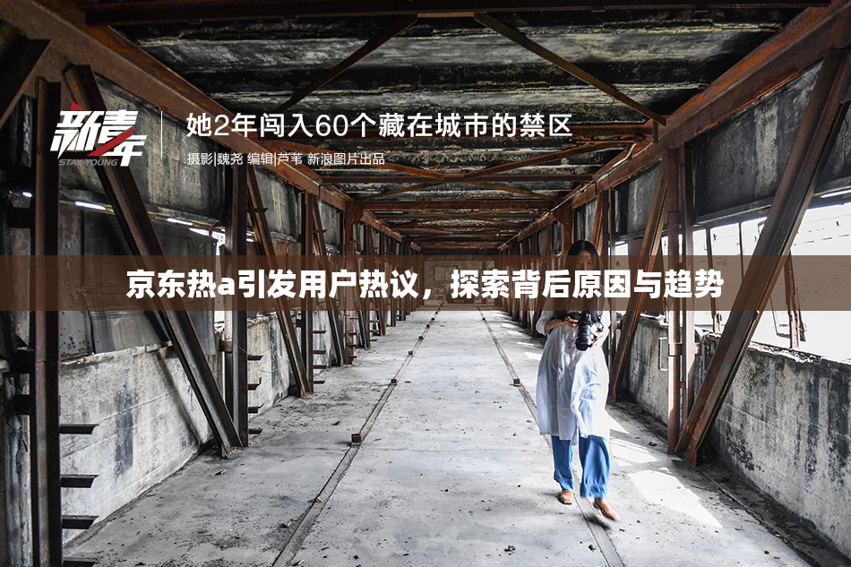 京东热a引发用户热议，探索背后原因与趋势