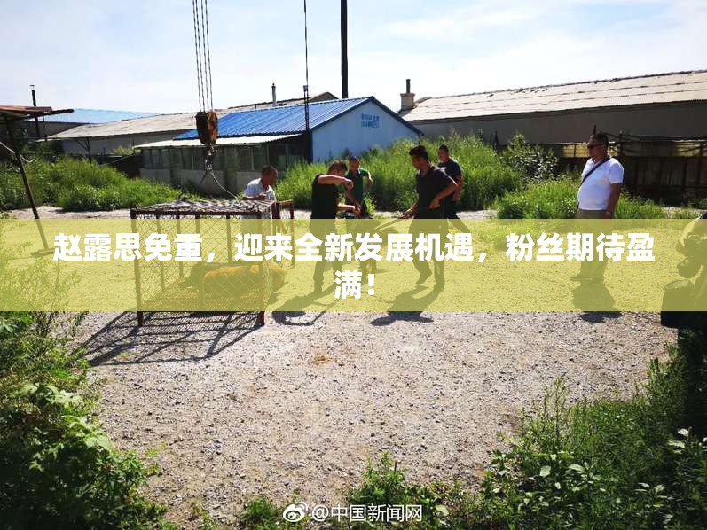 赵露思免重，迎来全新发展机遇，粉丝期待盈满！