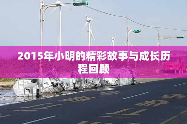 2015年小明的精彩故事与成长历程回顾