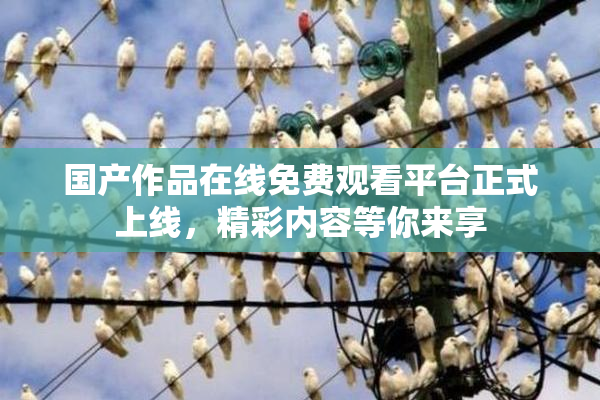 国产作品在线免费观看平台正式上线，精彩内容等你来享