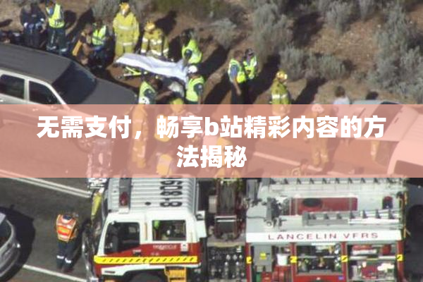 无需支付，畅享b站精彩内容的方法揭秘