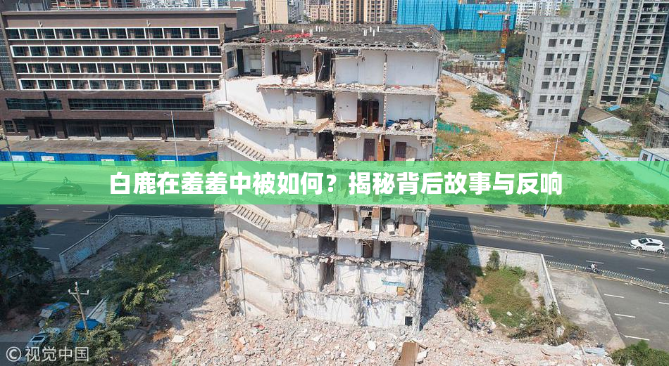 白鹿在羞羞中被如何？揭秘背后故事与反响