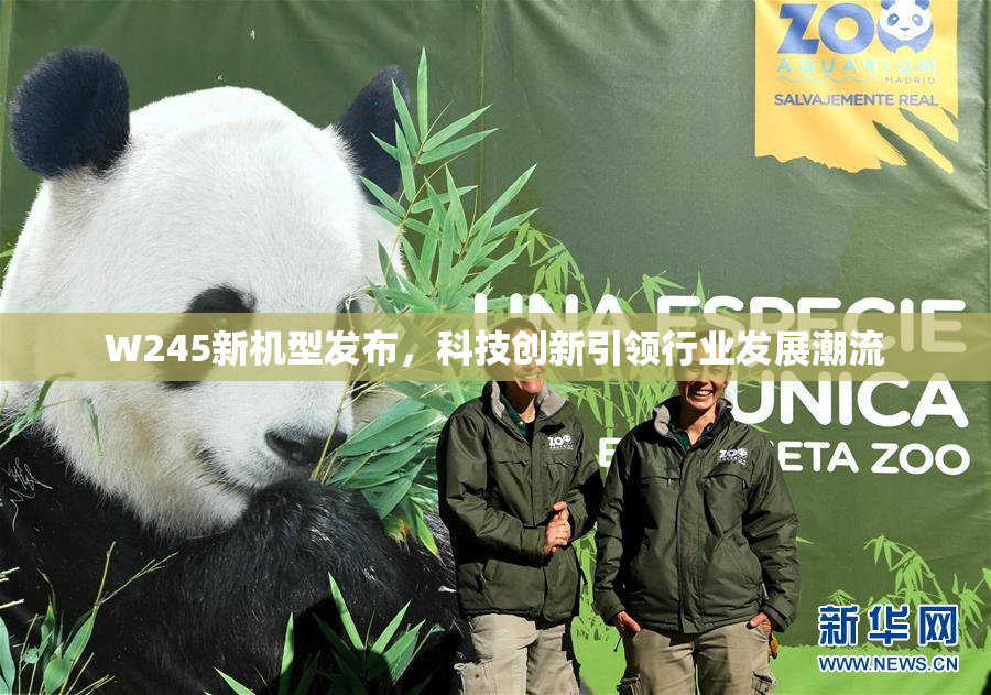 W245新机型发布，科技创新引领行业发展潮流