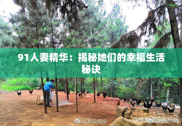 91人妻精华：揭秘她们的幸福生活秘诀