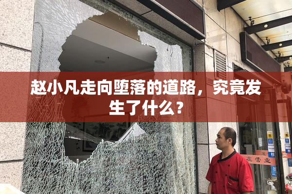 赵小凡走向堕落的道路，究竟发生了什么？