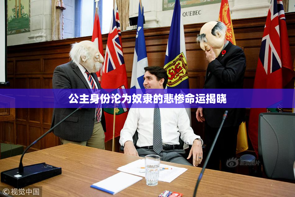 公主身份沦为奴隶的悲惨命运揭晓