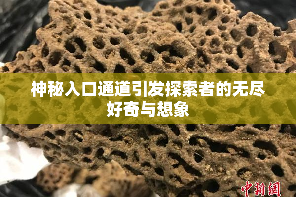 神秘入口通道引发探索者的无尽好奇与想象