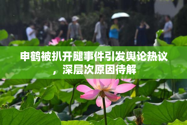 申鹤被扒开腿事件引发舆论热议，深层次原因待解