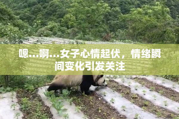 嗯…啊…女子心情起伏，情绪瞬间变化引发关注
