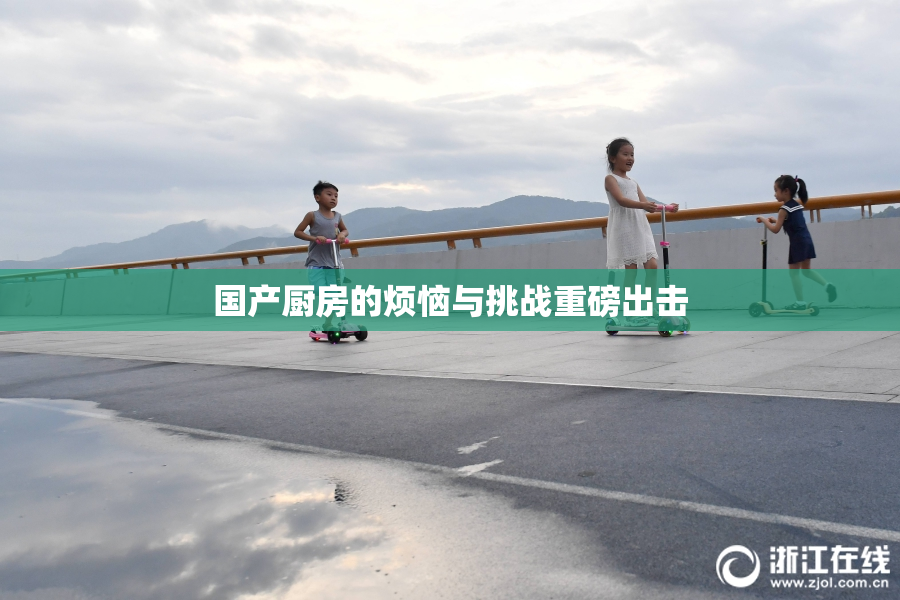 国产厨房的烦恼与挑战重磅出击