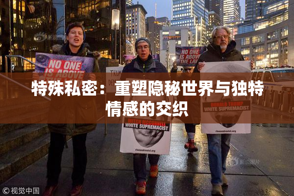 特殊私密：重塑隐秘世界与独特情感的交织