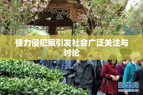 强力侵犯案引发社会广泛关注与讨论