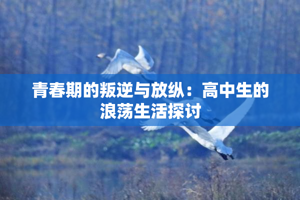 青春期的叛逆与放纵：高中生的浪荡生活探讨