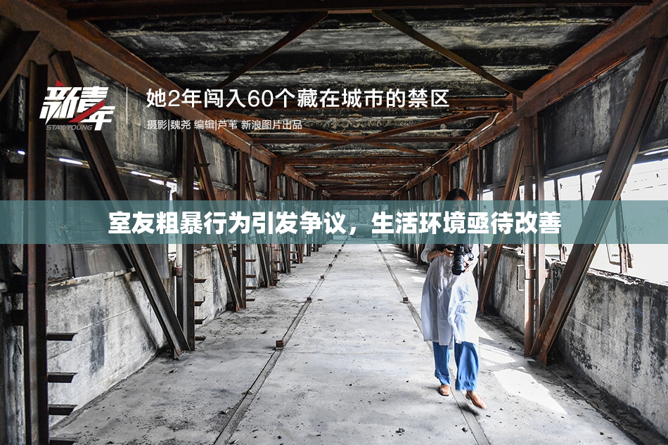 室友粗暴行为引发争议，生活环境亟待改善