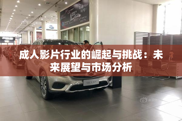 成人影片行业的崛起与挑战：未来展望与市场分析
