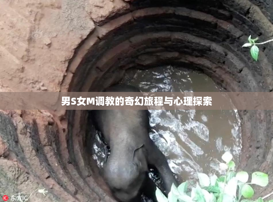 男S女M调教的奇幻旅程与心理探索
