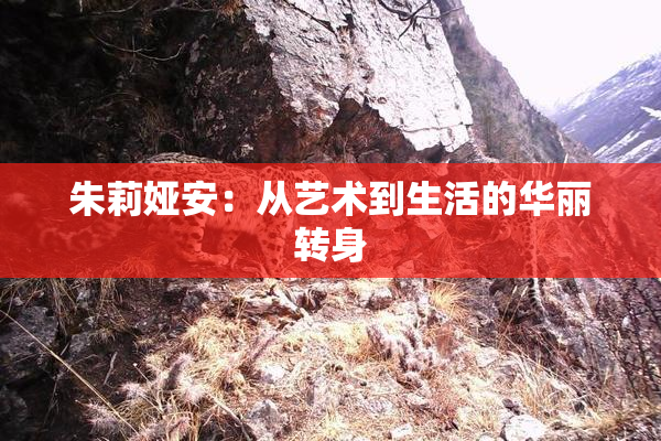 朱莉娅安：从艺术到生活的华丽转身