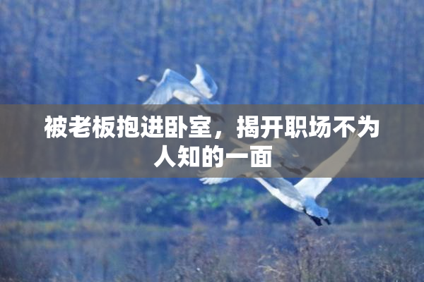 被老板抱进卧室，揭开职场不为人知的一面