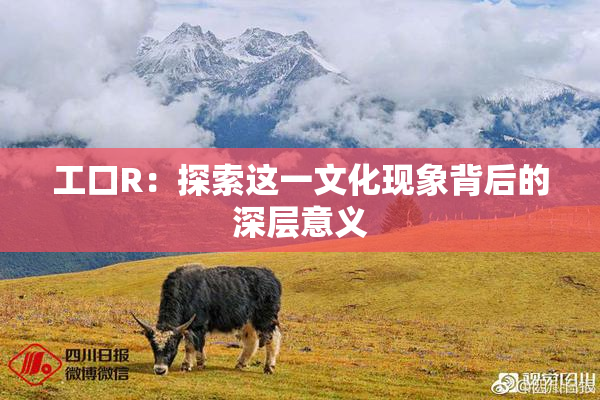 工口R：探索这一文化现象背后的深层意义