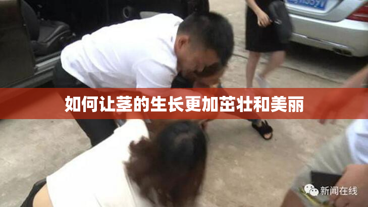 如何让茎的生长更加茁壮和美丽