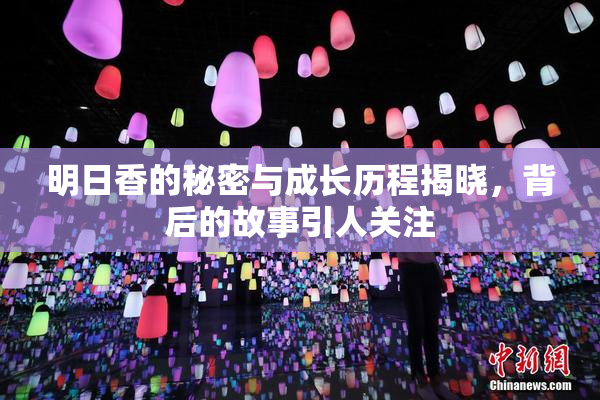 明日香的秘密与成长历程揭晓，背后的故事引人关注