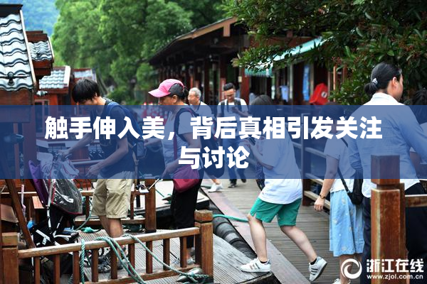 触手伸入美，背后真相引发关注与讨论