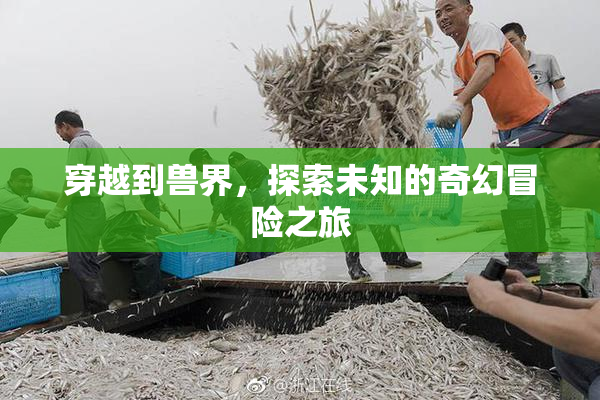 穿越到兽界，探索未知的奇幻冒险之旅