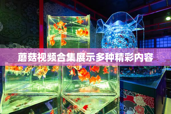 蘑菇视频合集展示多种精彩内容