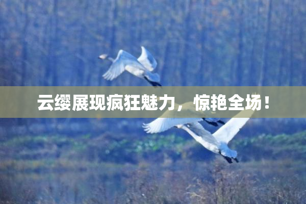云缨展现疯狂魅力，惊艳全场！