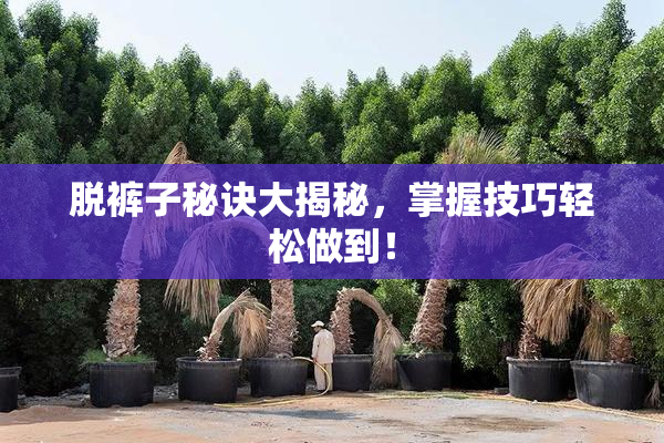 脱裤子秘诀大揭秘，掌握技巧轻松做到！