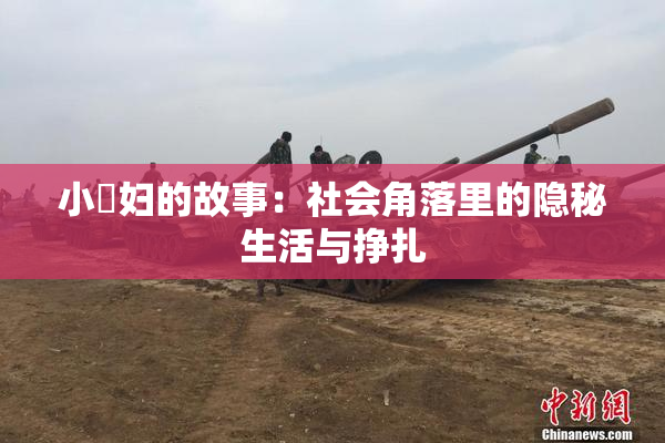 小婬妇的故事：社会角落里的隐秘生活与挣扎