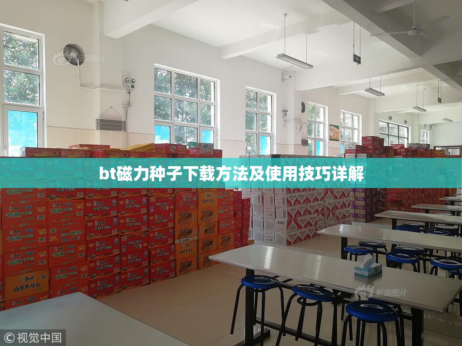 bt磁力种子下载方法及使用技巧详解