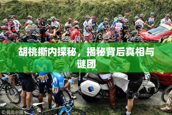 胡桃撕内探秘，揭秘背后真相与谜团