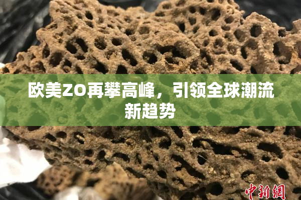 欧美ZO再攀高峰，引领全球潮流新趋势